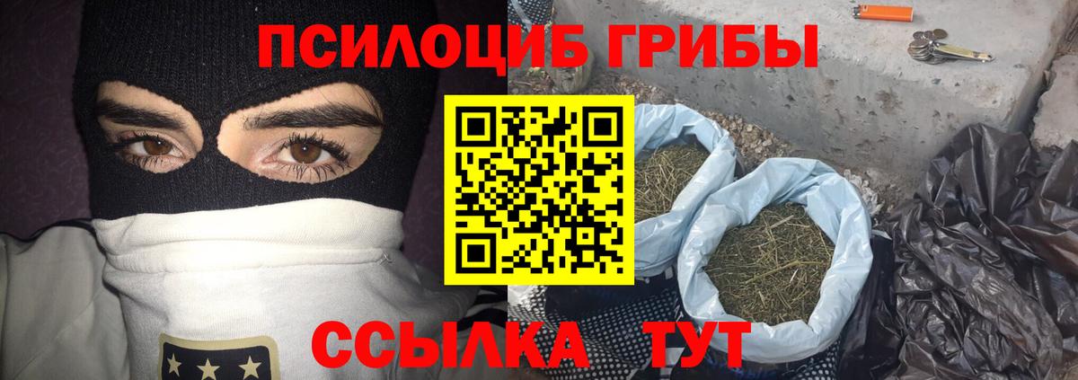 Псилоцибиновые грибы MAGIC MUSHROOMS Родники